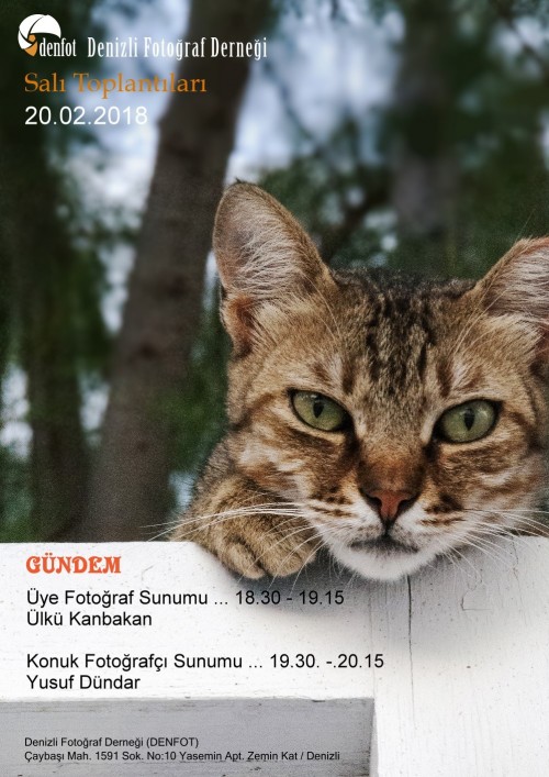 Denizli Fotoğraf Derneği 20.02.2018 Haftalık Programı