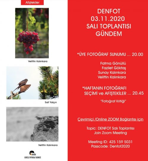 03.11.2020 Sunum Programı