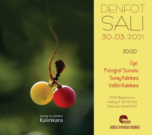 30.03.2021 Sunum Programı